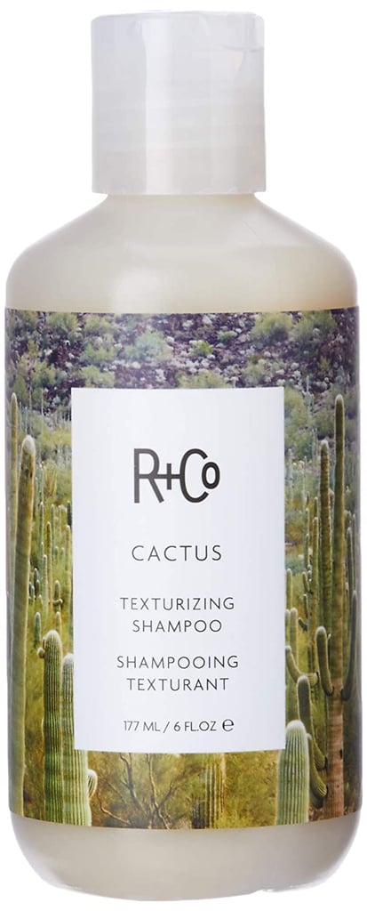 Best Shampoo For Short Hair: R+Co Cactus Texturizing Shampoo