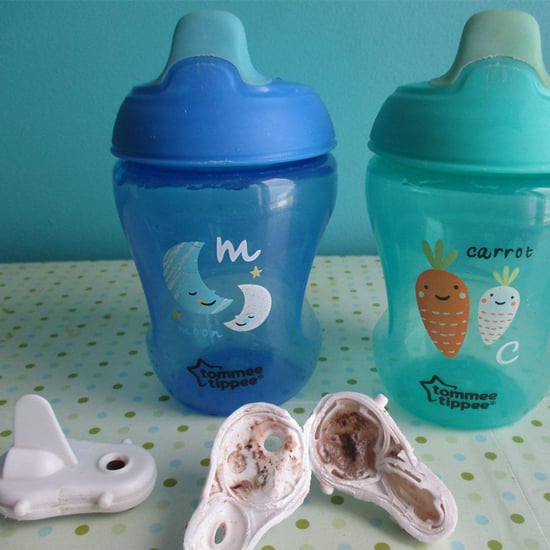 Tommee Tippee Sippy Cup Mold Response