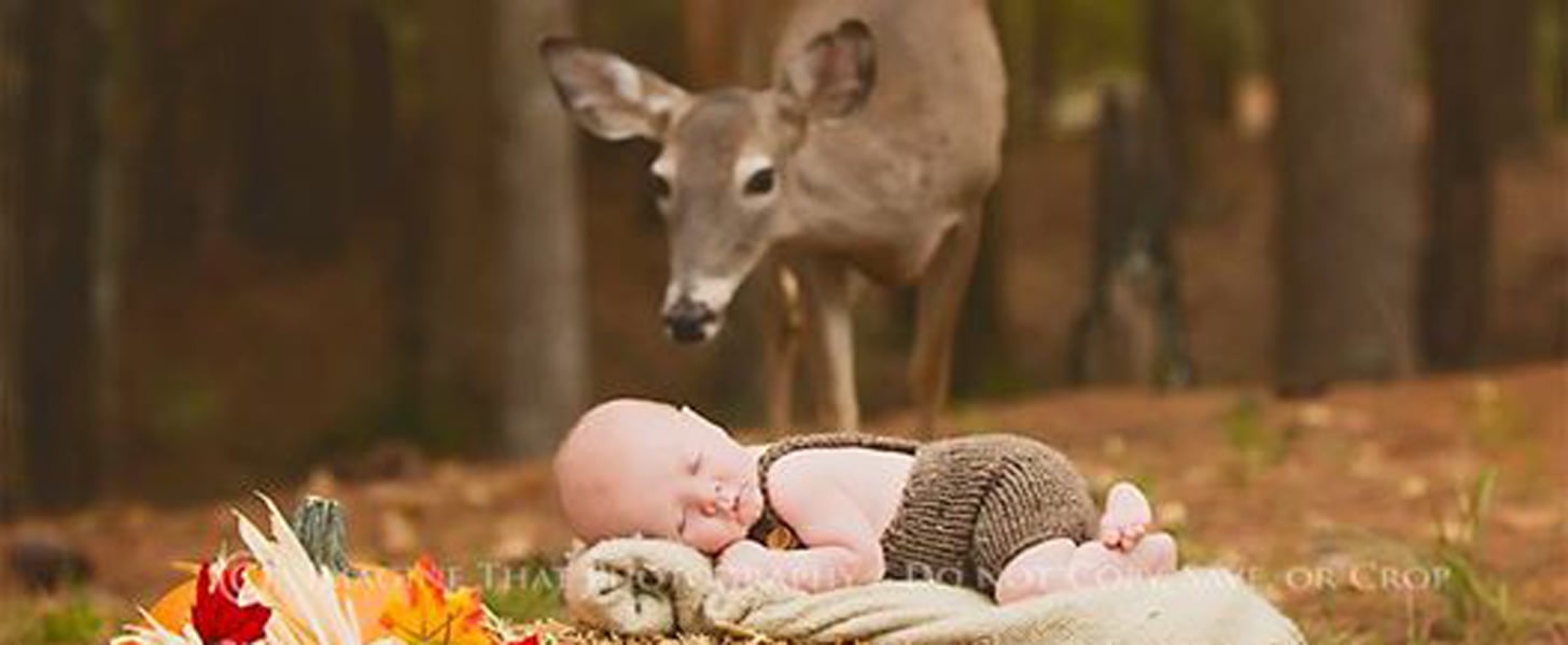 Deer Photobombs Newborn's First Photo Shoot PS Family