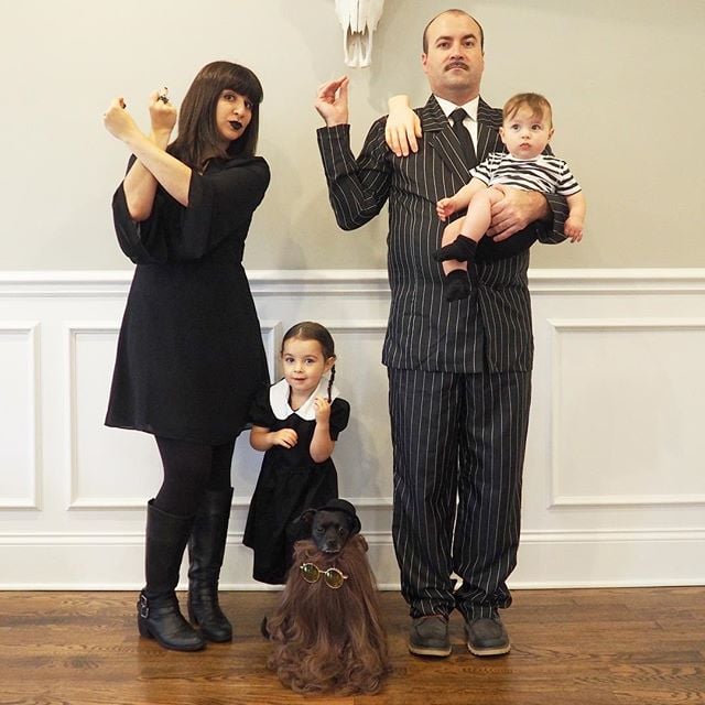 Halloween Cousin It  Addams family costumes, Dog halloween, Addams costume  family