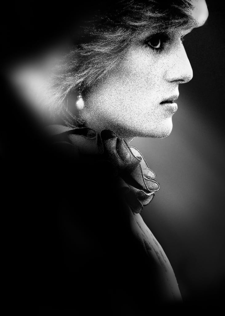 The Princess Documentary Revelations