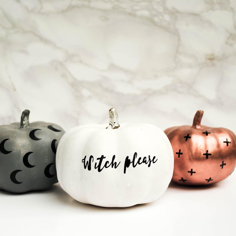 4. Plush and Posh Pumpkins