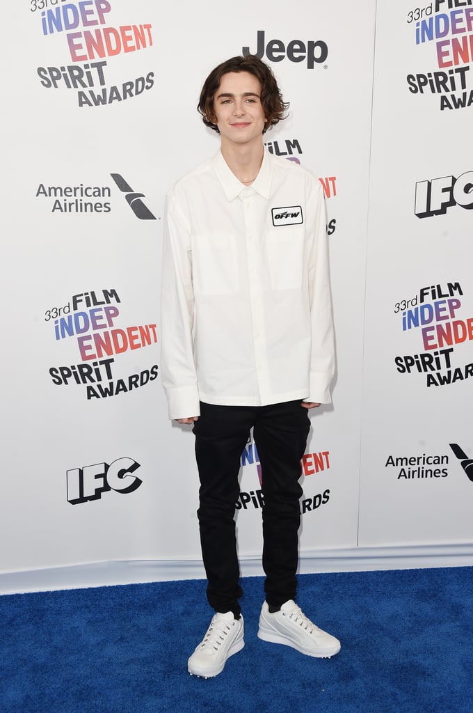 Pictured: Timothée Chalamet