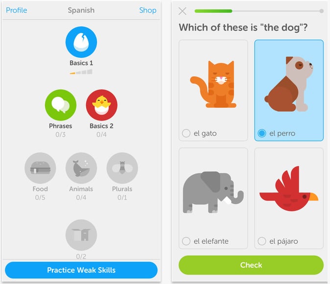 Duolingo