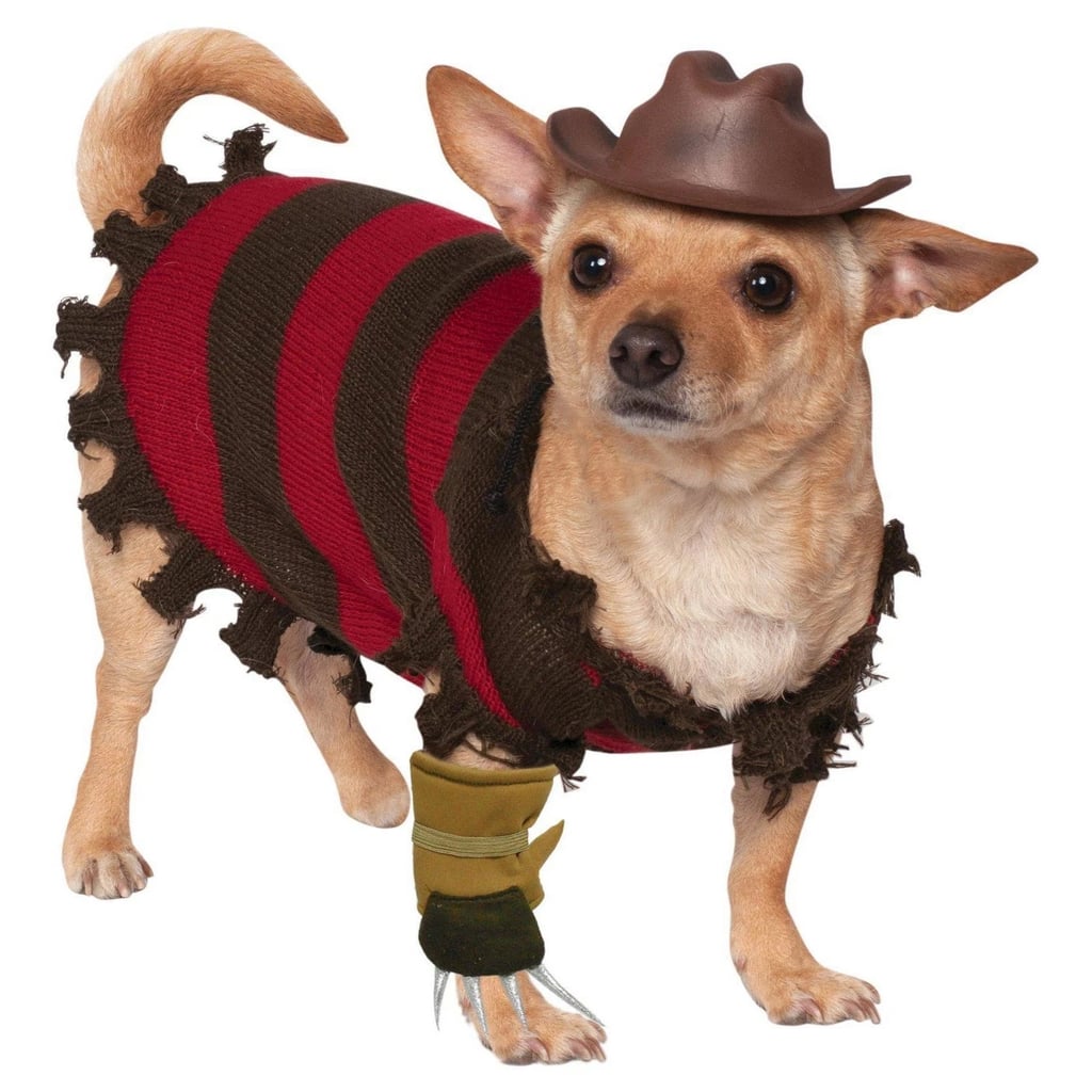 Freddy Krueger Dog Costume