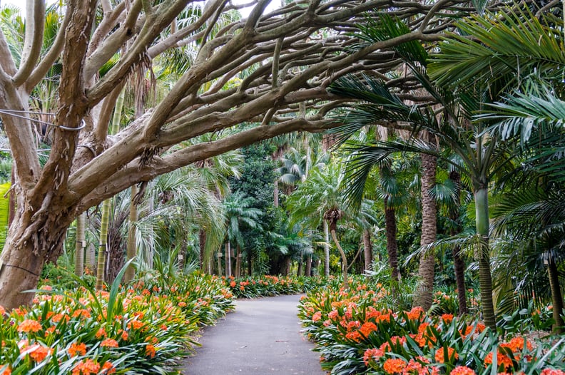 Cheap Date Idea: Visit a Botanical Garden