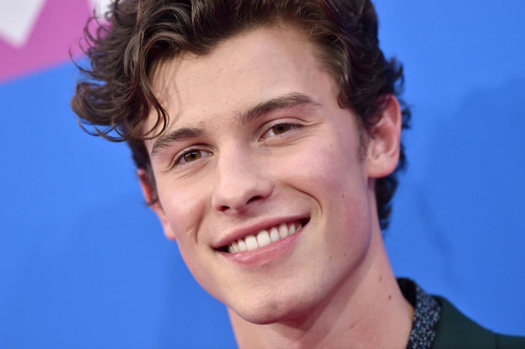 Hot Pictures of Shawn Mendes | POPSUGAR Celebrity Photo 95