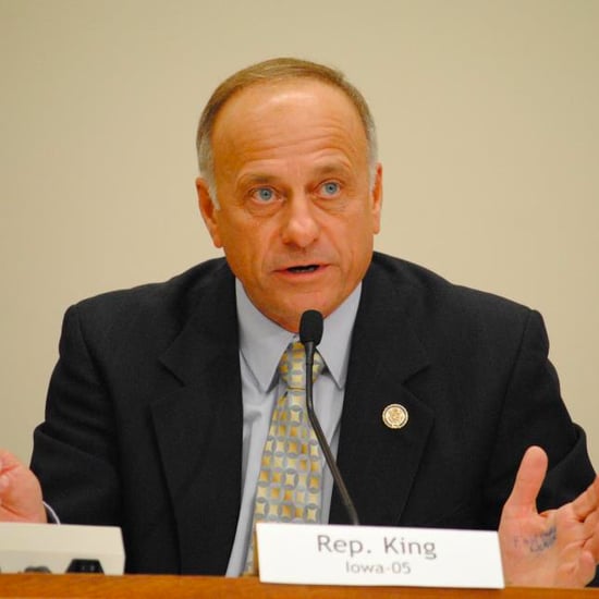 Congressman Steve King Comments About Race