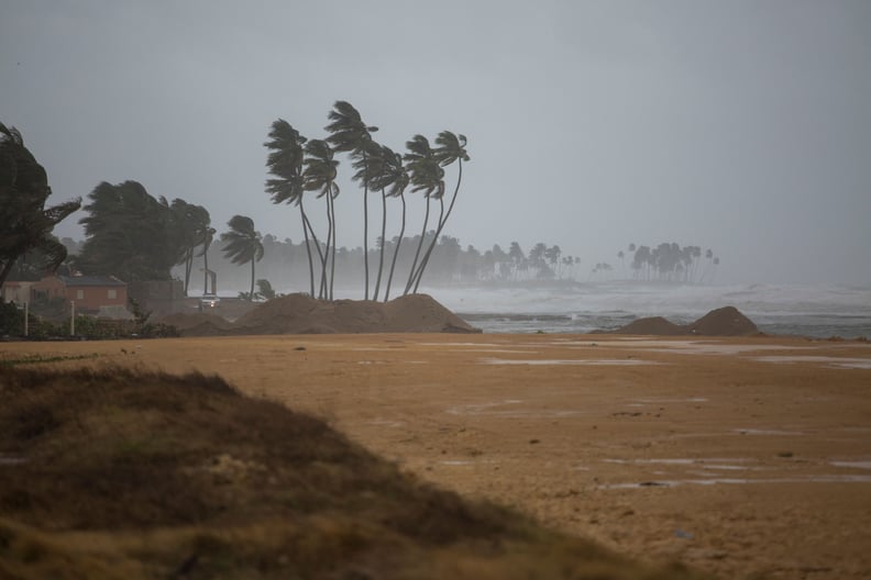 Palm trees blow in the wind in Nagua, Dominican Republic, on September 19, 2022, during the passage of Hurricane Fiona. - Hurricane Fiona made landfall along the coast of the Dominican Republic on Monday, the National Hurricane Center said, after the stor
