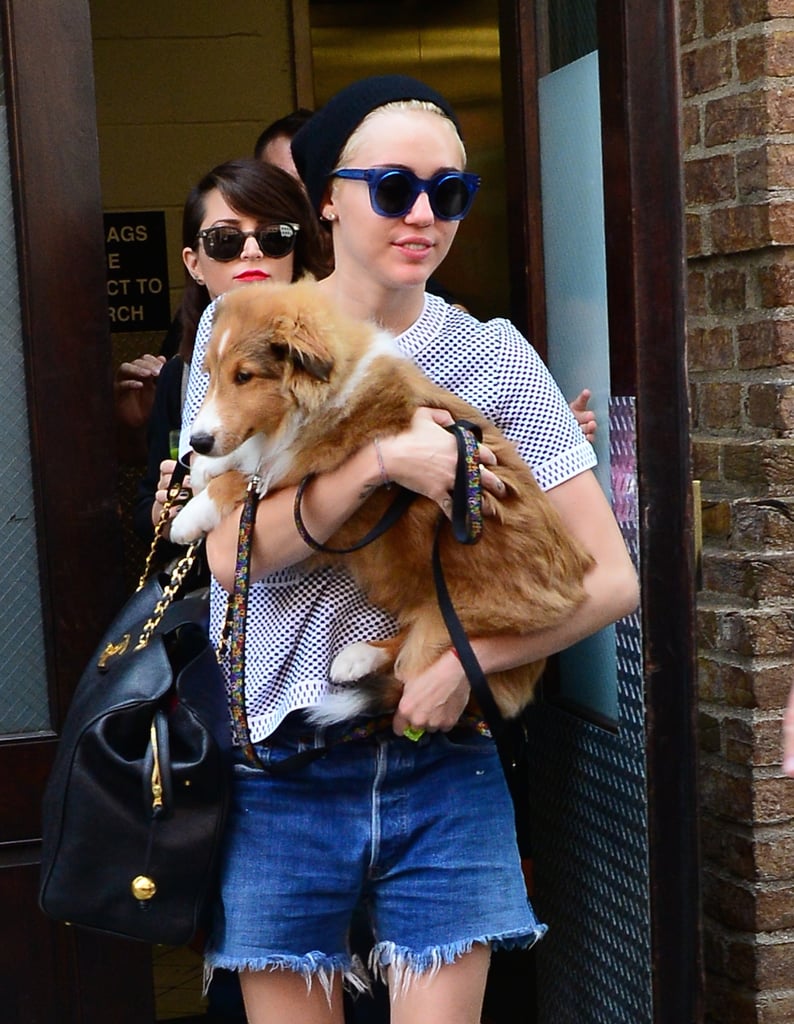 On Monday, Miley Cyrus carried her new puppy through the streets of NYC.