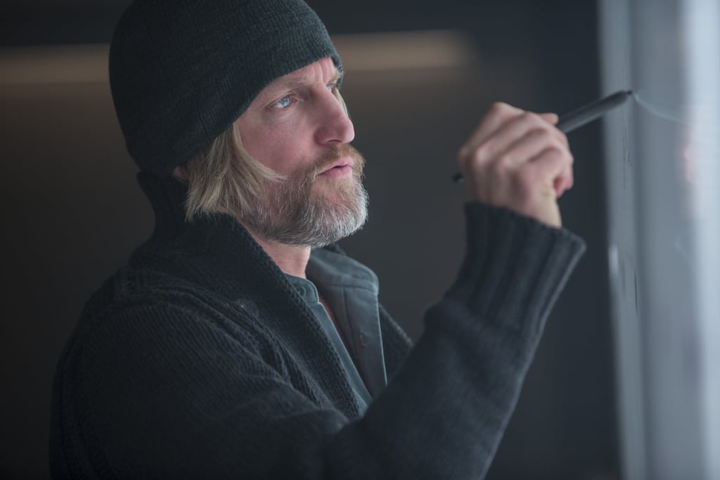 Woody Harrelson as Haymitch Abernathy.