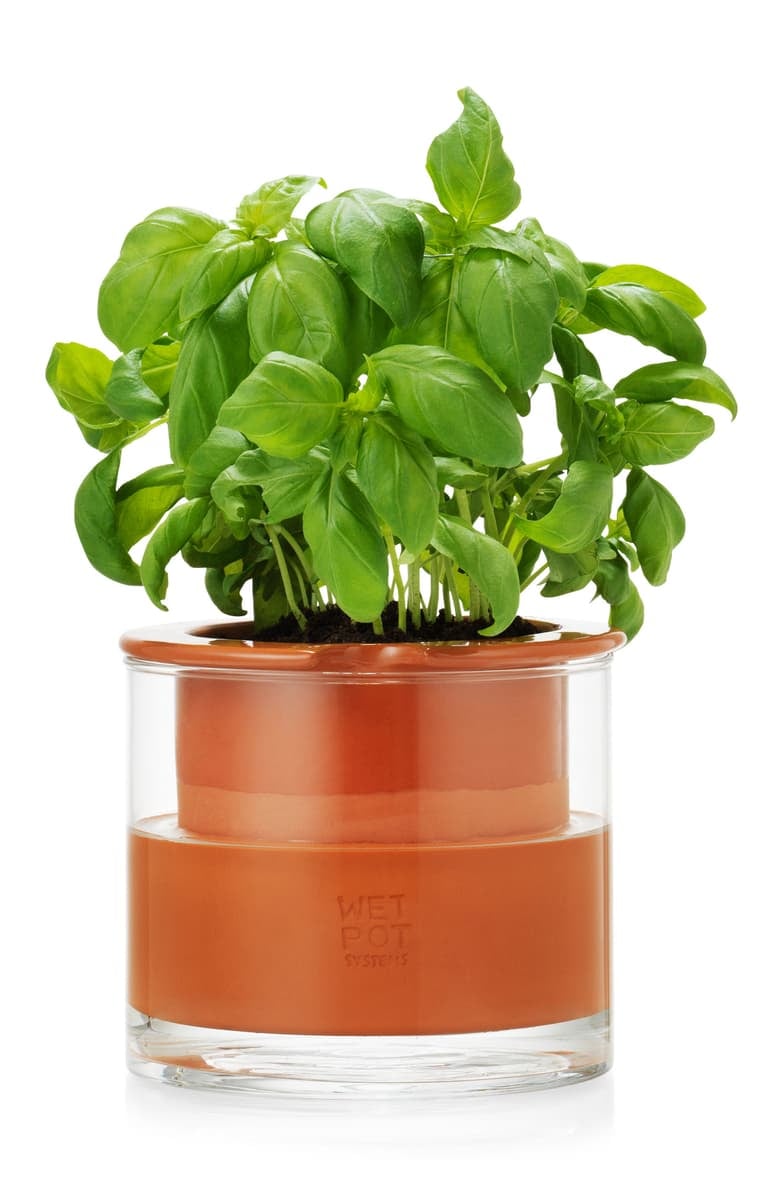 MoMA Design Store Self Watering Pot