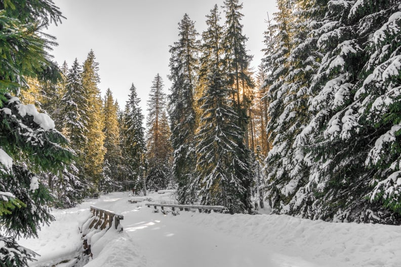 Yes, snow is totally a thing in California. It's actually a great place to ski.