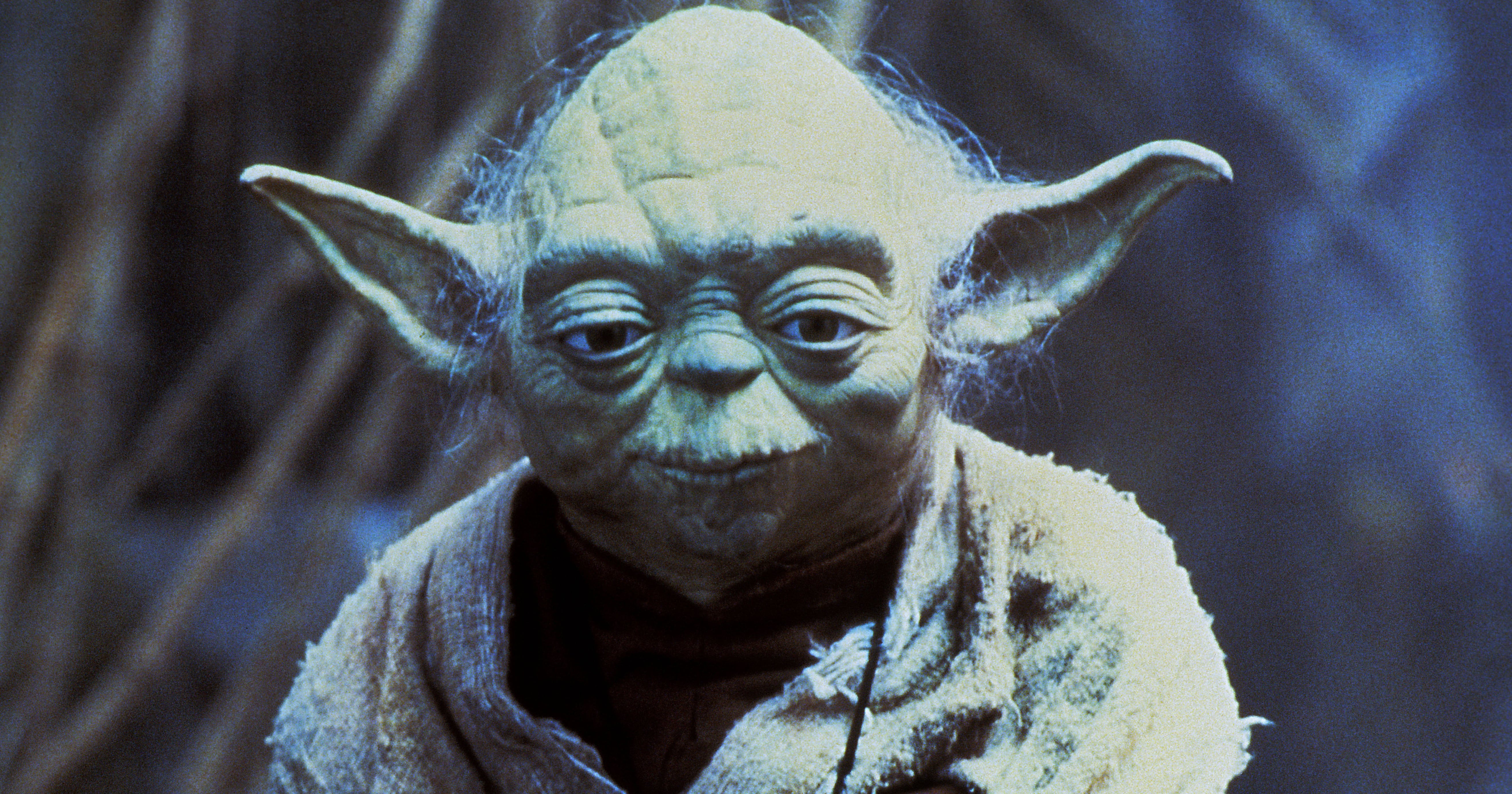 What Species Is Yoda From Star Wars?
