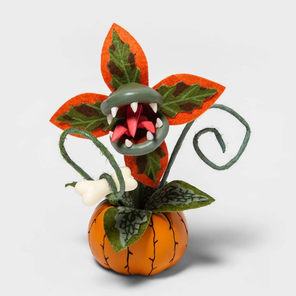 Target Large Bat Decorative Clear Plastic Cloche With Black Base Shop