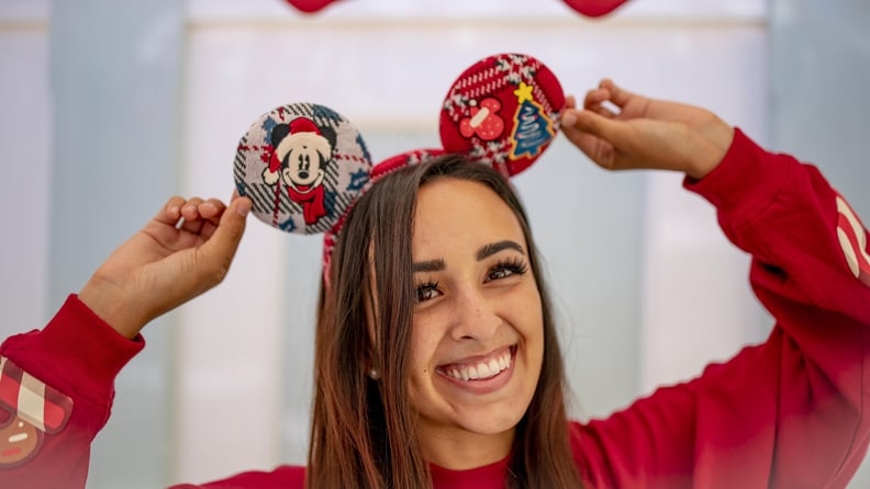 Disney Holiday Mickey Ears