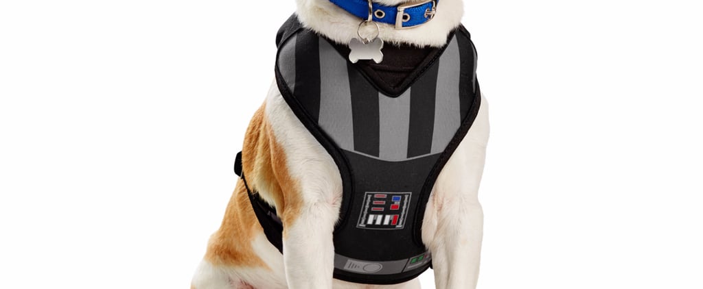 Pets Must Haves December 2015