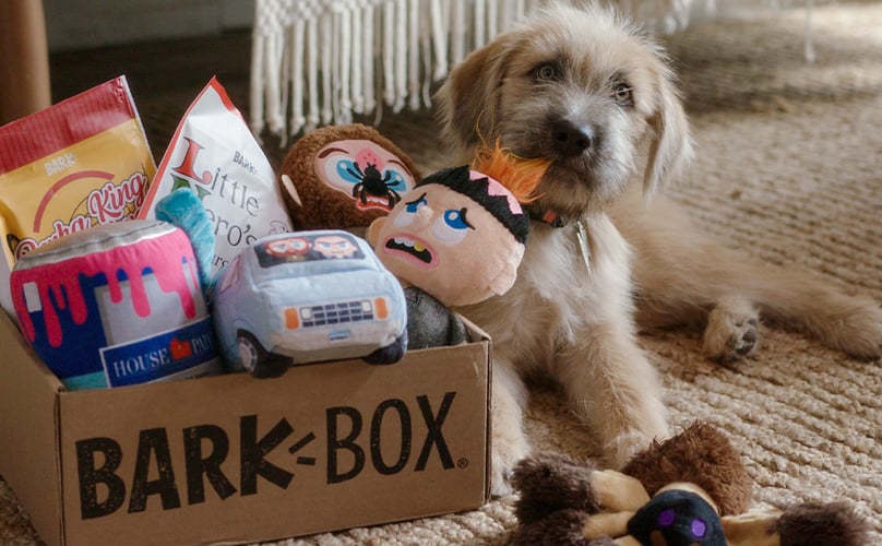 Barkbox shop individual toys
