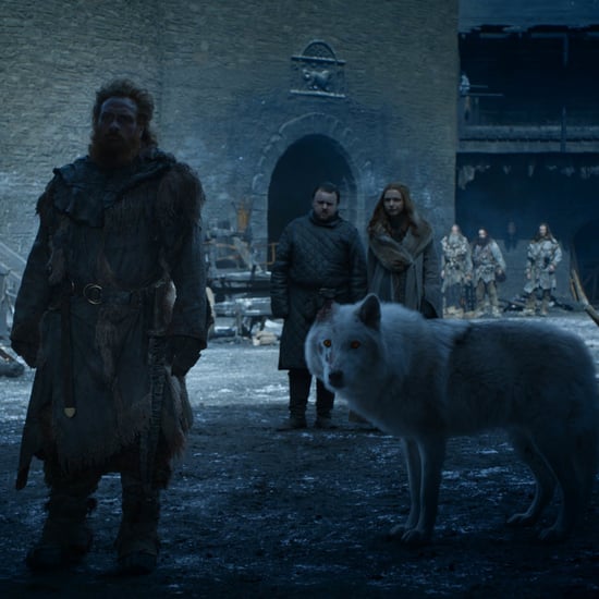 What Happened to Ghost's Ear on Game of Thrones?