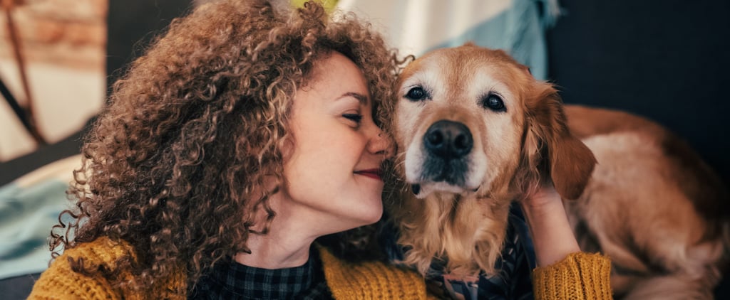 The Worst Dog Breeds For Small Apartments