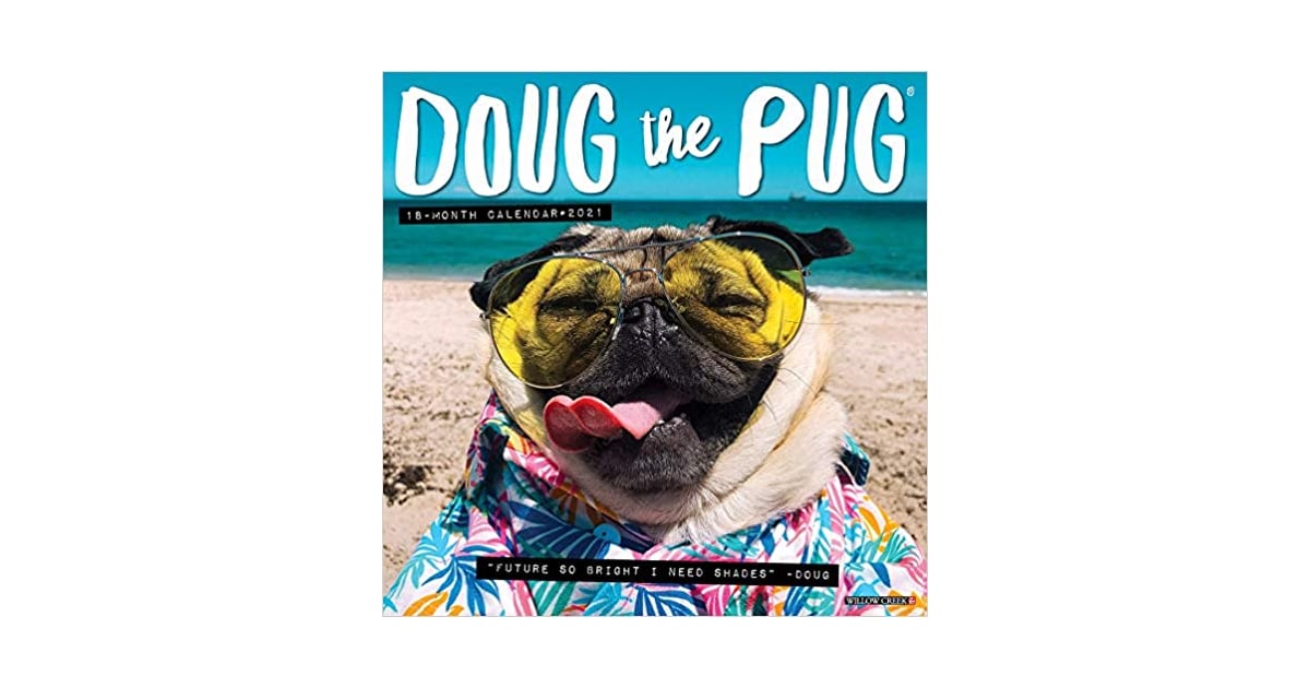 Doug the Pug 2021 Wall Calendar | The Best Calendars For 2021