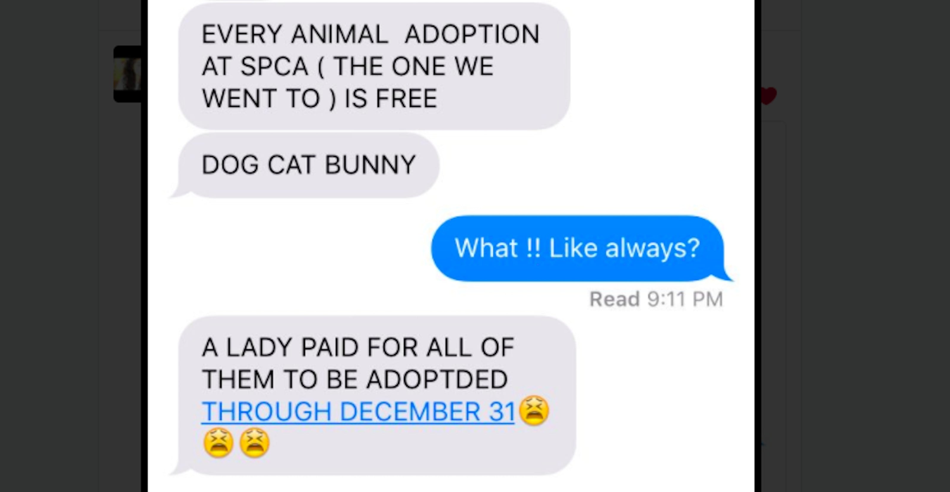 California Animal Shelter Offers Free Adoptions | PS Pets