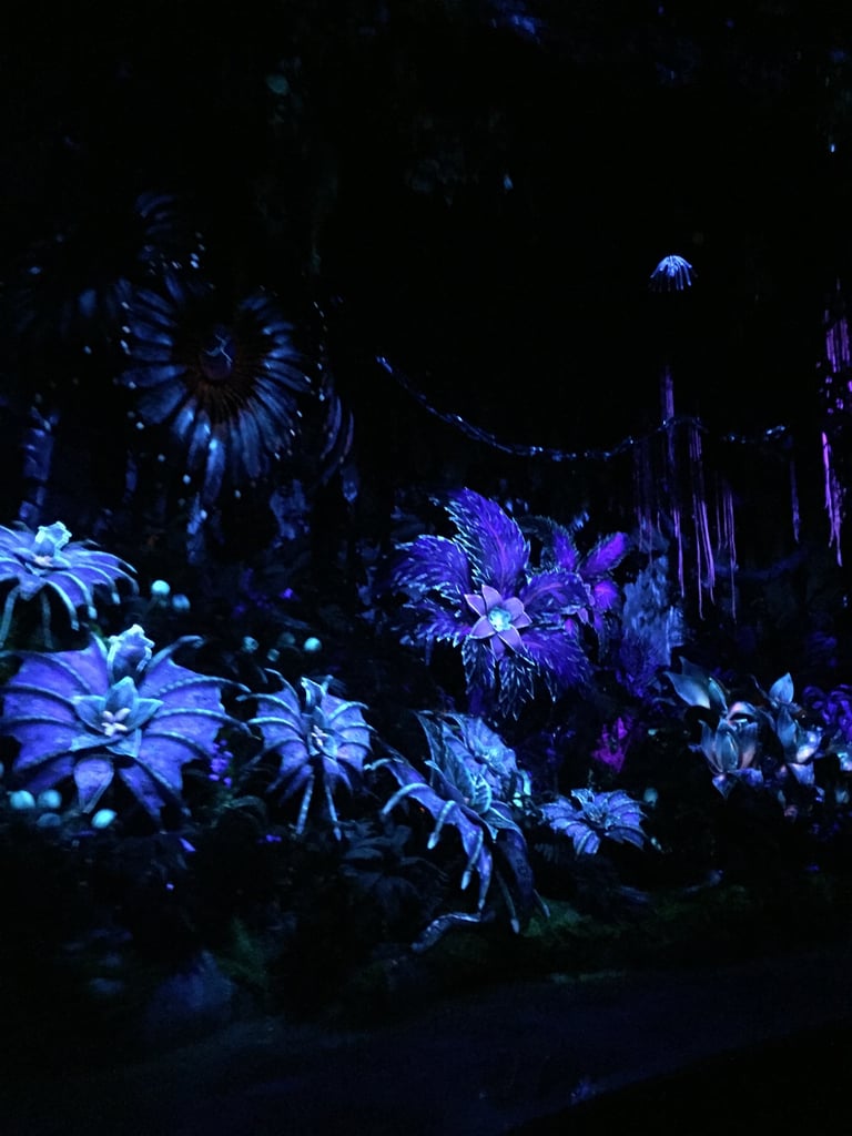 Which Pandora World of Avatar Ride Is For Kids?
