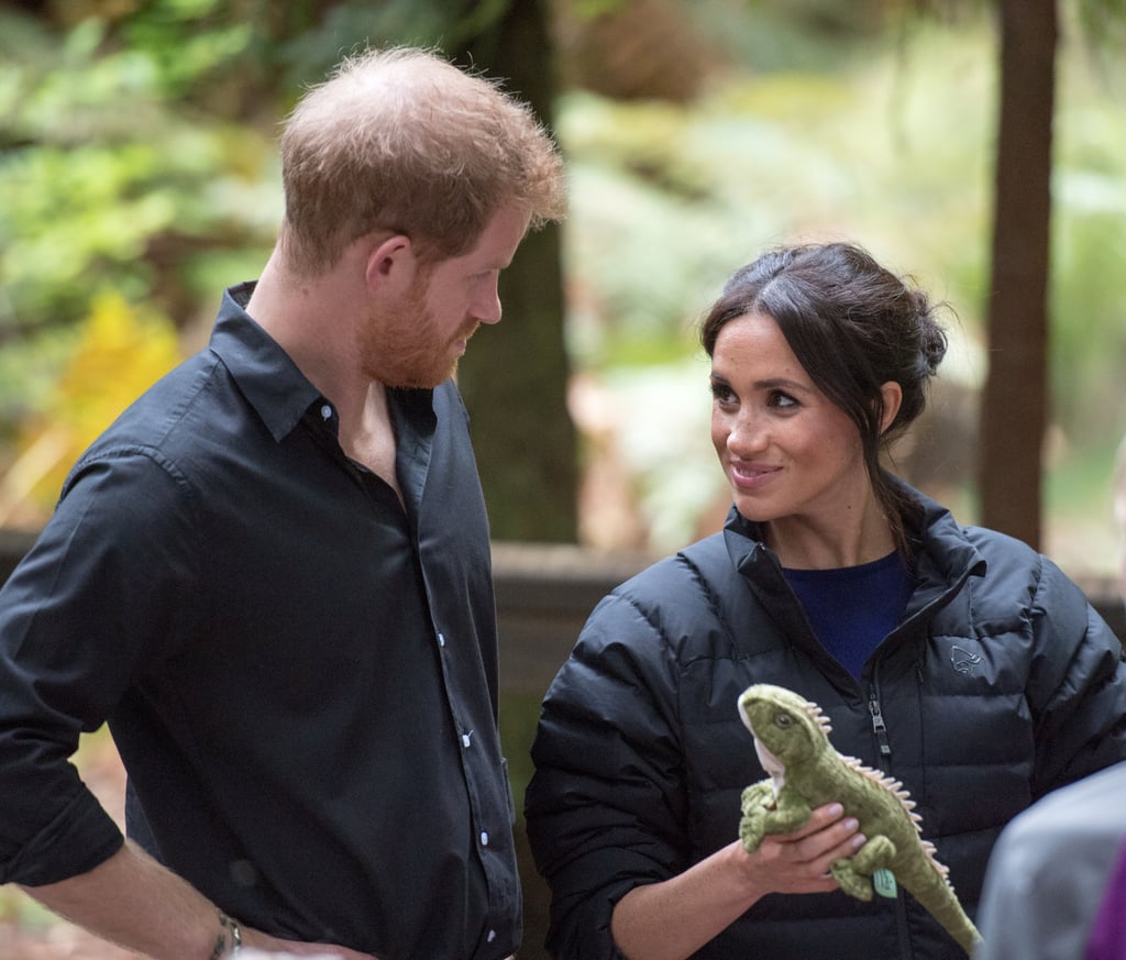 Prince Harry Takes Picture of Pregnant Meghan Markle 2018