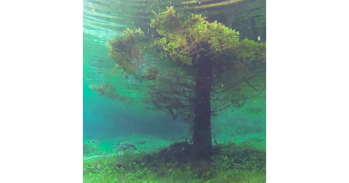 Underwater Park In Austria Popsugar Smart Living