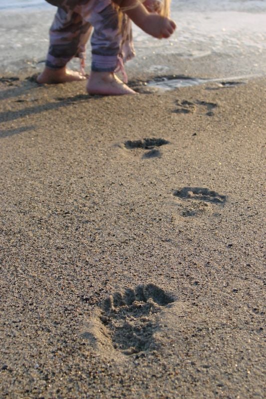 Footprints