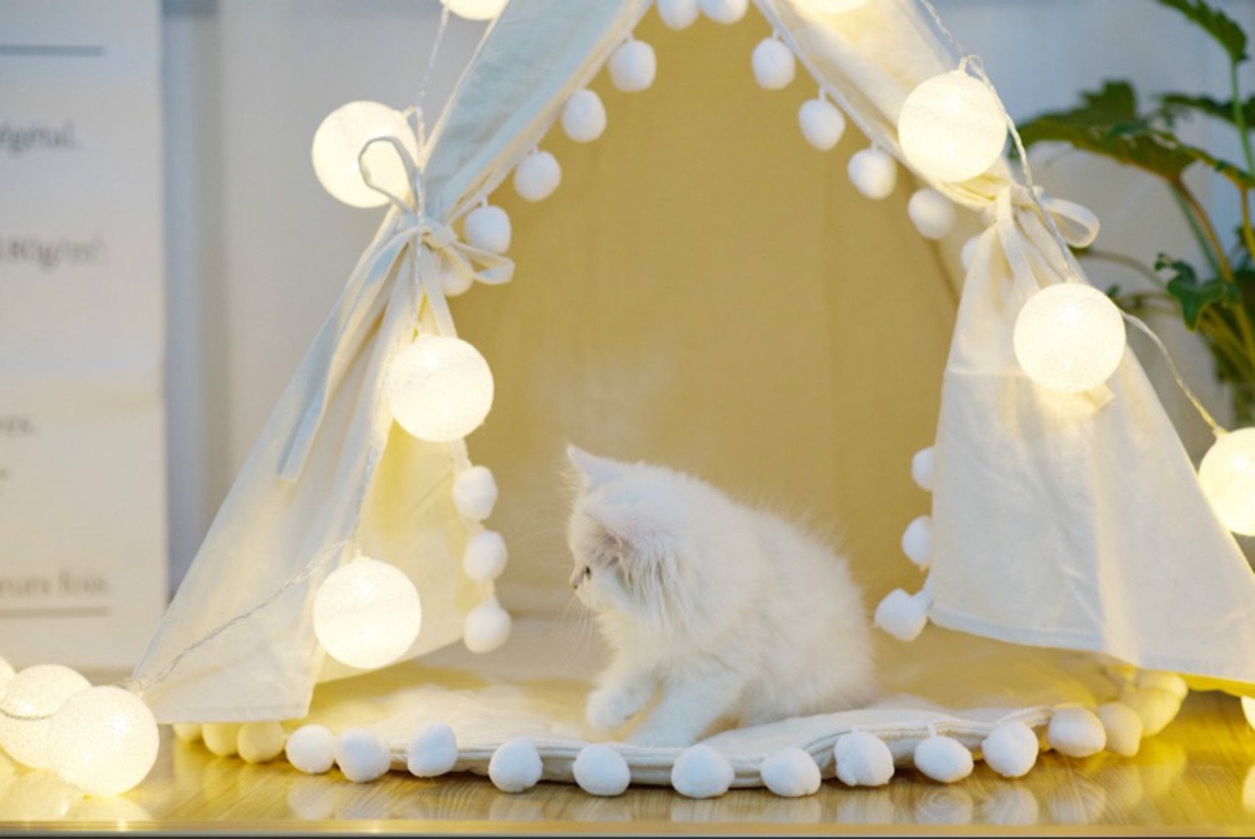 Cathaven cat hot sale condo