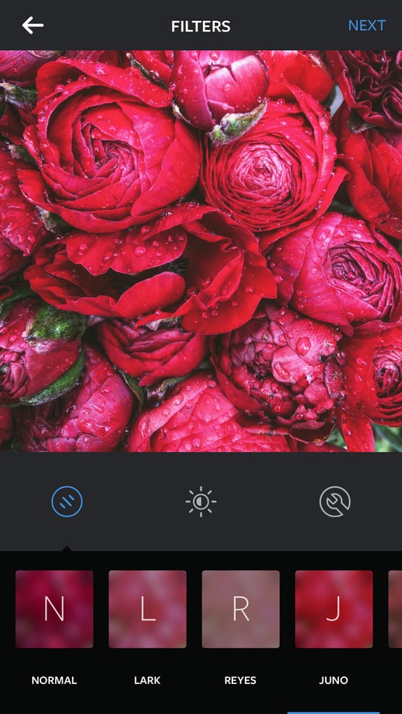 Juno Filter