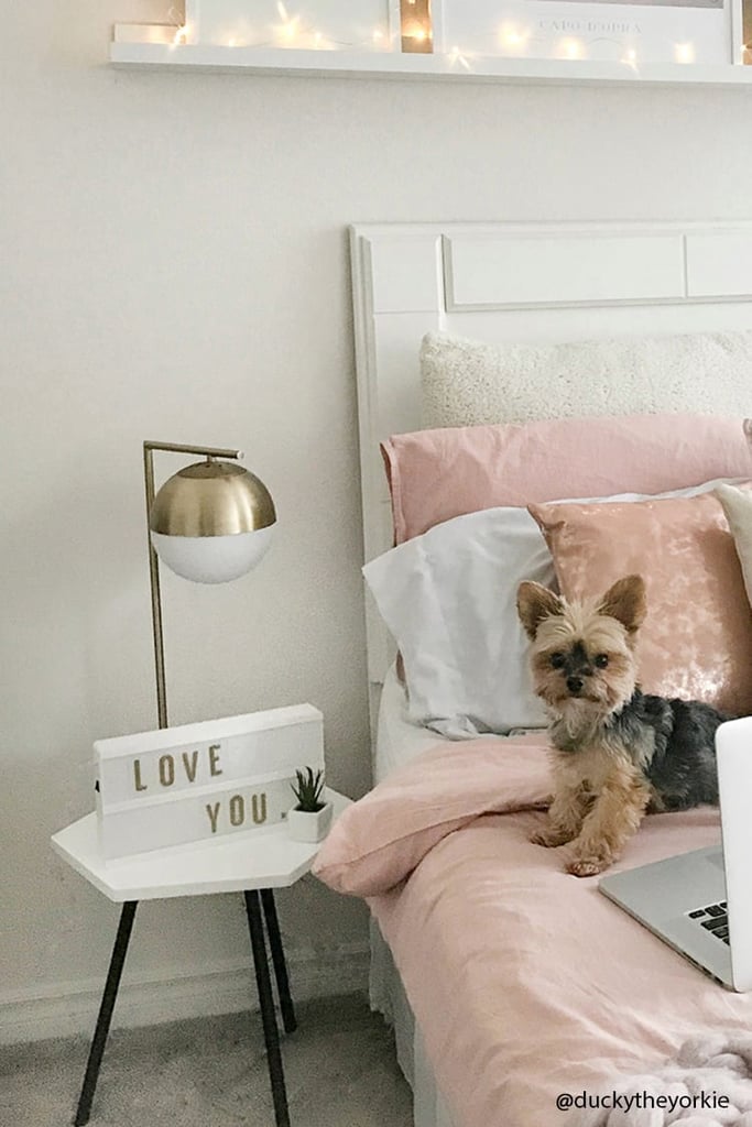 Cheap Home Decor Online POPSUGAR Home