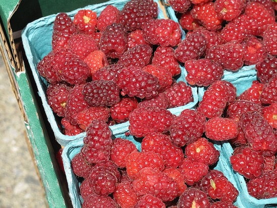 Tayberries