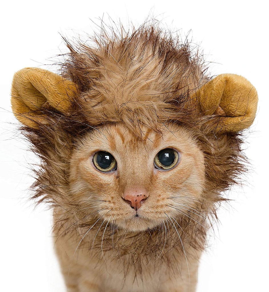 Lion Mane Costume For Cats