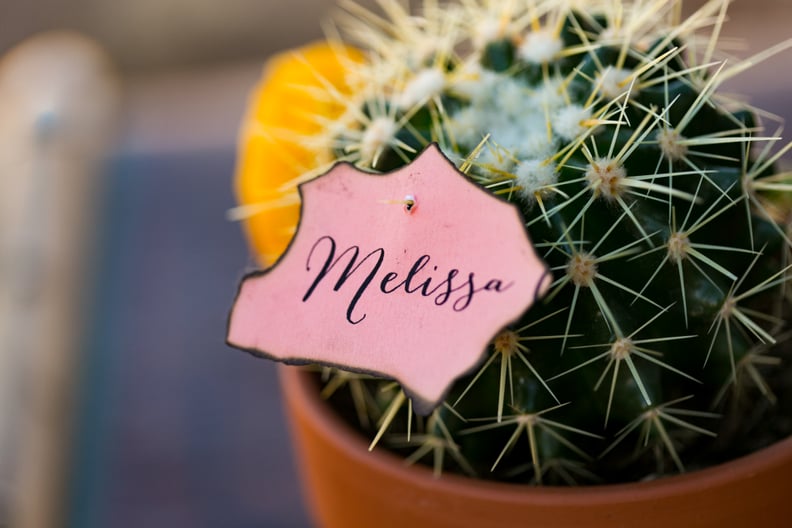 Cactus Nametags