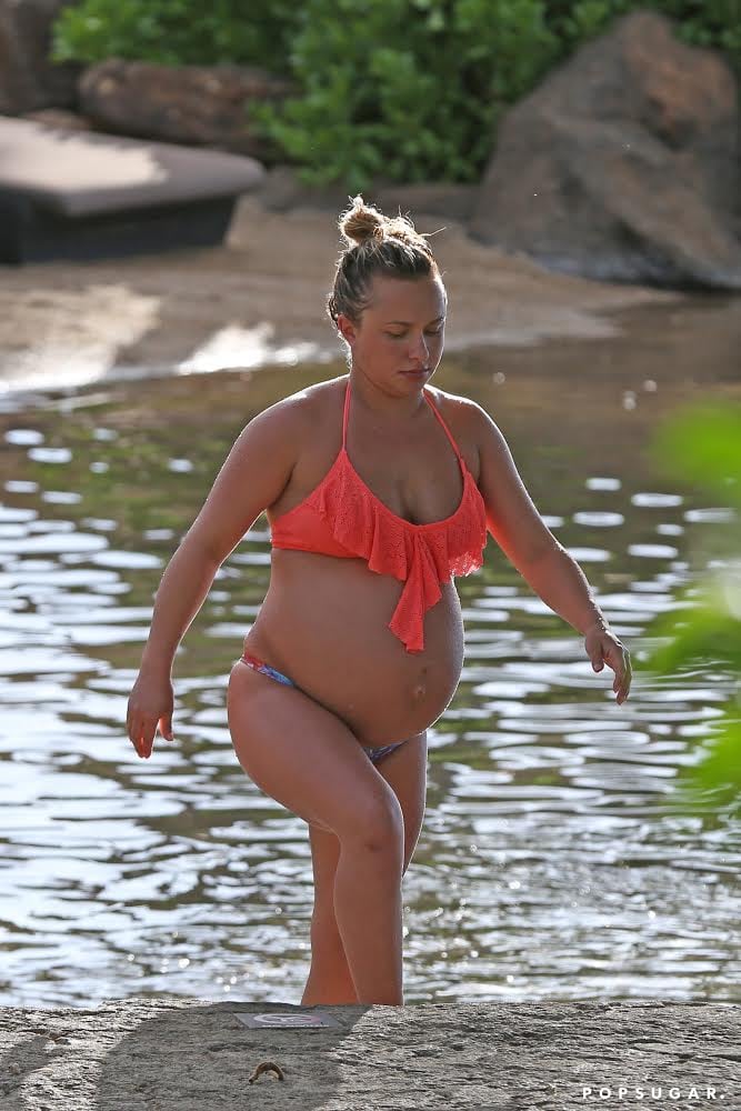 Hayden Panettiere Pregnant in a Bikini Pictures