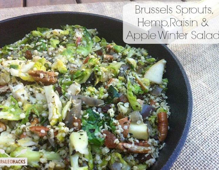 Brussels Sprouts, Hemp, Raisin & Apple Winter Salad