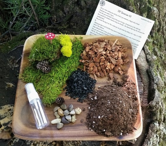 DIY terrarium kit