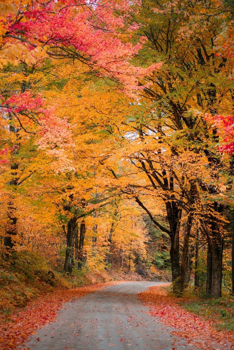 Fall Date Idea: Go on a Scenic Hike