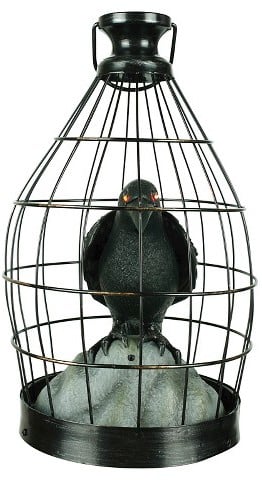Animated Crow in a Cage