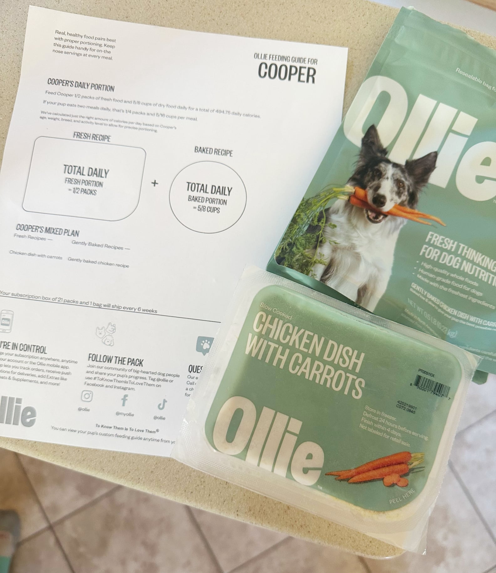 Gorgeous Ollie Dog Food Reviews Scene Collection