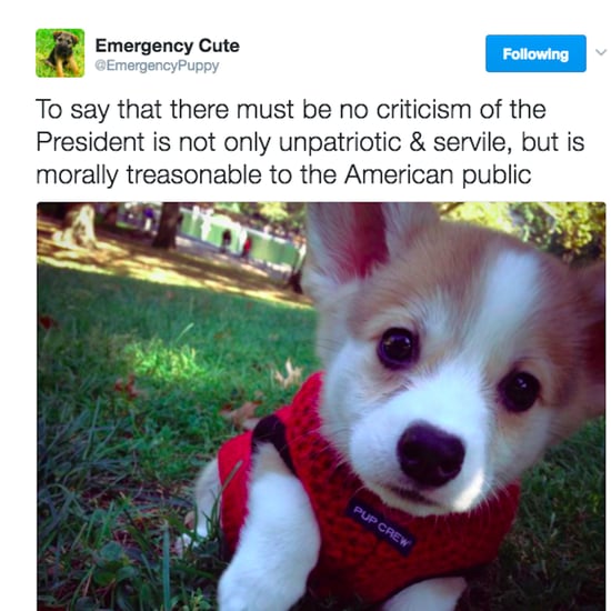 Emergency Cute Tweets About Donald Trump