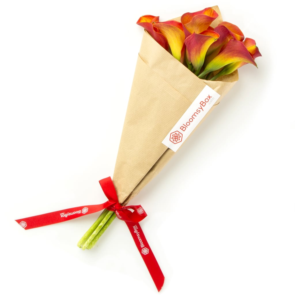 Cheap Valentine's Day Gifts For Her POPSUGAR Smart Living