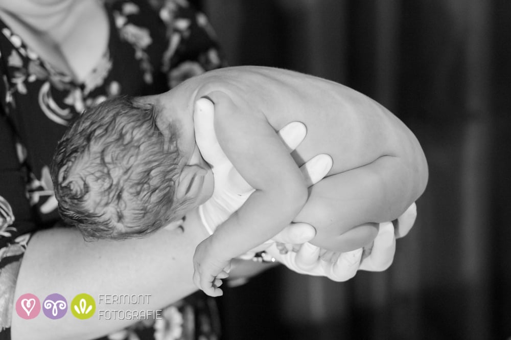 Photos of How Babies Fit Inside of Womb