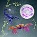 Your March 26 Weekly Horoscope Says It’s Time to Commit to That Glow Up