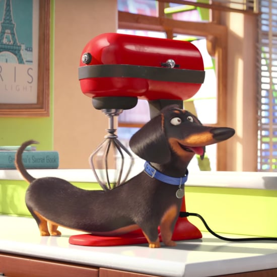 The Secret Life of Pets Official Trailer