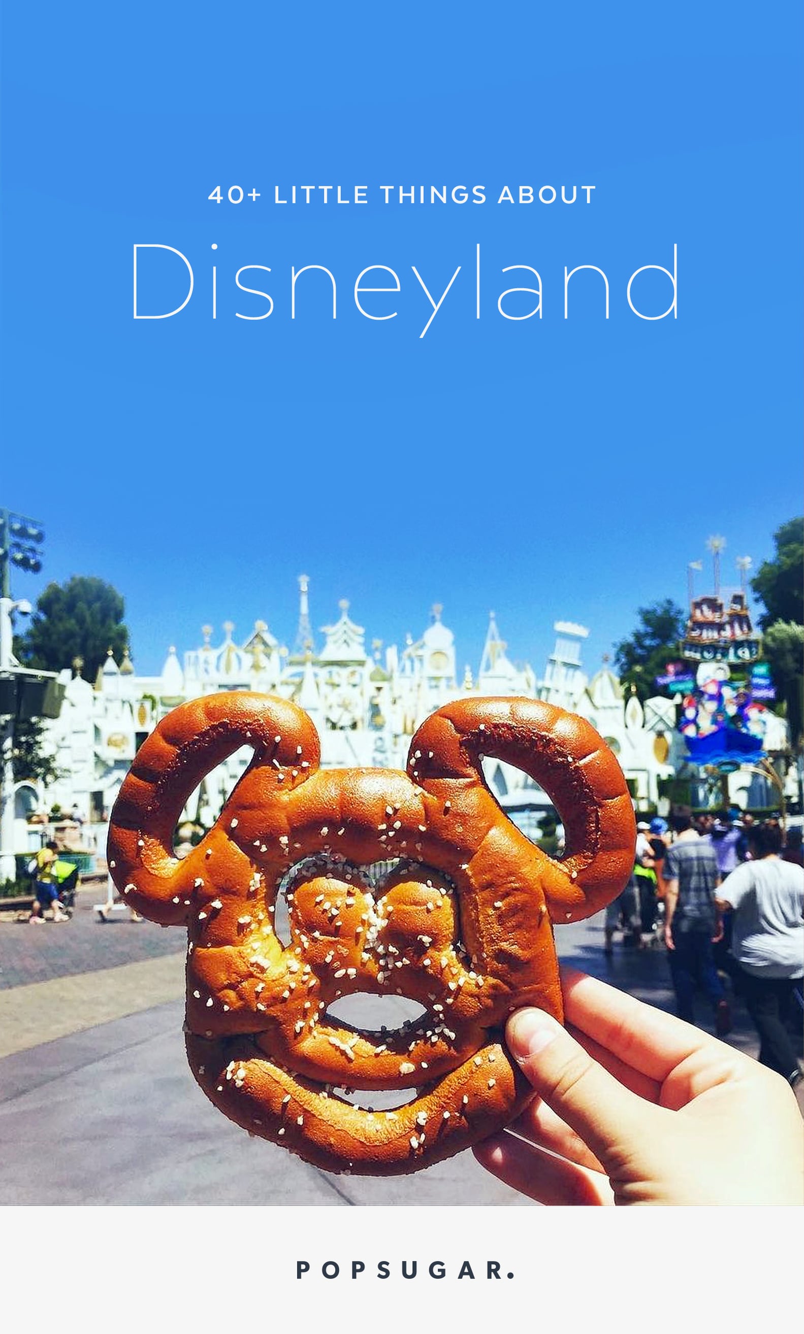 Best Details About Disneyland | PS Smart Living
