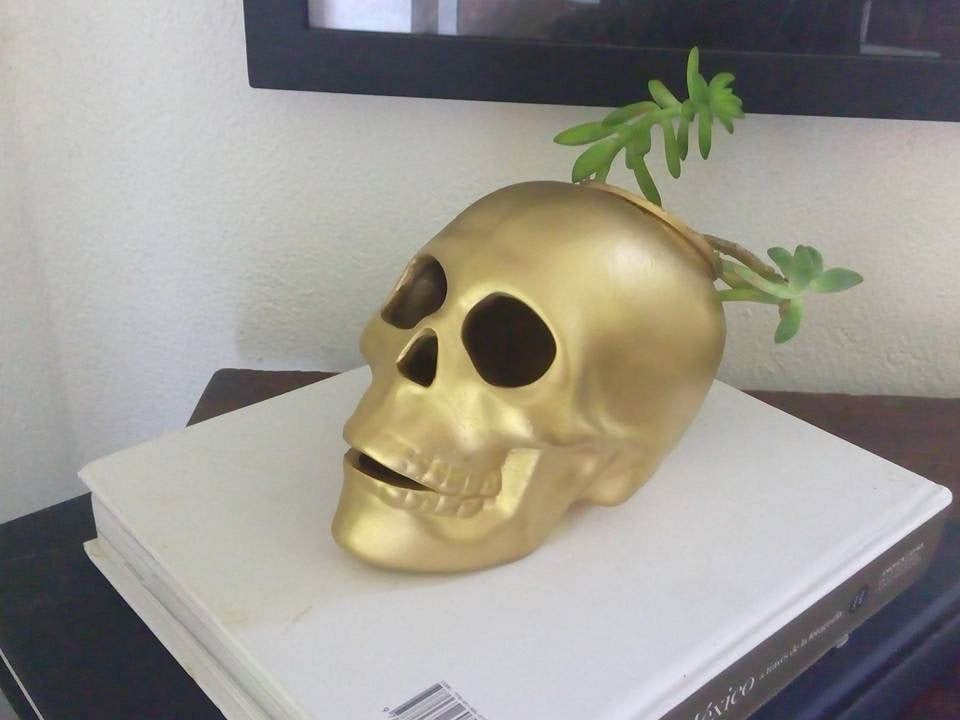 If realistic skulls freak you out, this gold one ($20) is just for you.