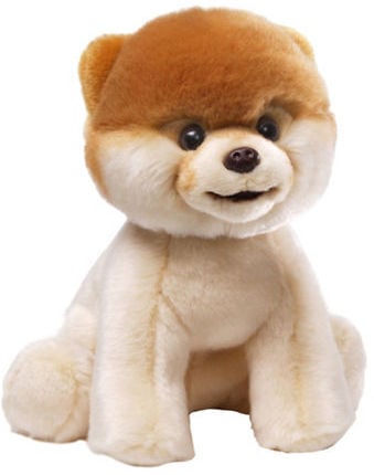 Boo the Dog Stuffed Animal